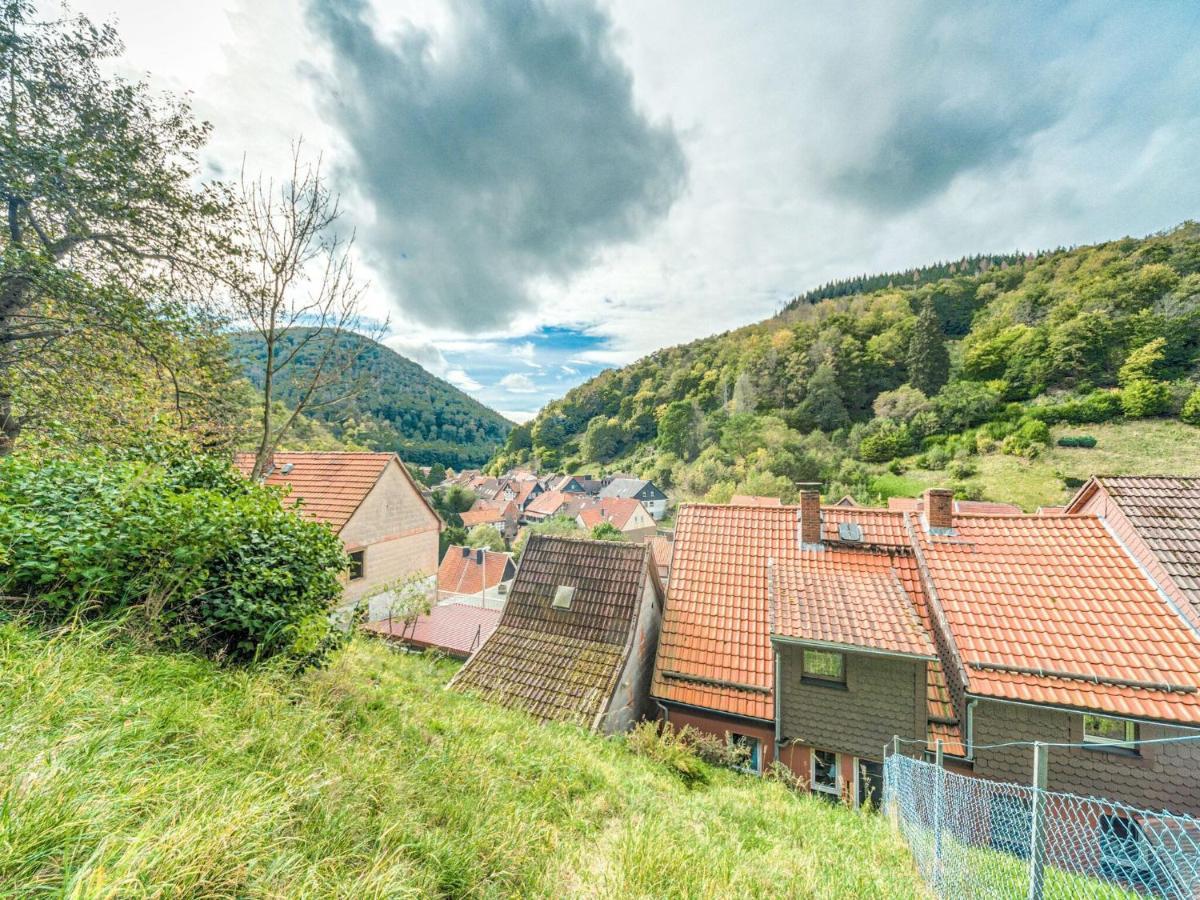 Apartment Near The Ski Area In Zorge Eksteriør billede